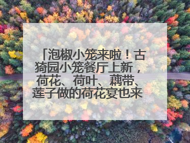 泡椒小笼来啦！古猗园小笼餐厅上新，荷花、荷叶、藕带、莲子做的荷花宴也来尝一下？